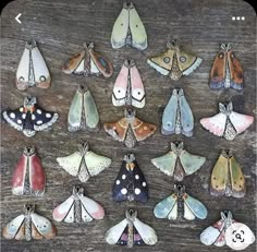 a group of different colored moths sitting on top of a wooden table