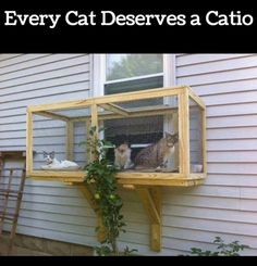 two cats sitting in a cage on the side of a house with caption that reads, every cat deserves a cat