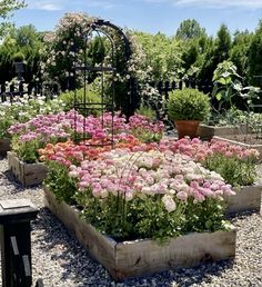 a garden filled with lots of different types of flowers