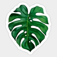 a green leaf shaped sticker on a white background with the shape of a heart