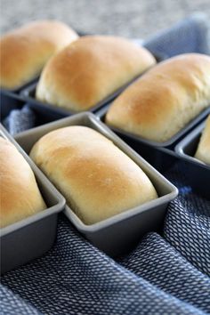 six loafs of bread sitting in pans on top of a blue towel next to each other