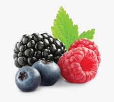 raspberries, blackberries and blueberries with green leaves