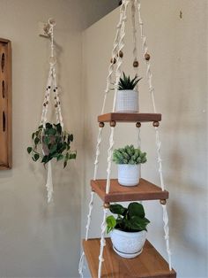 two hanging planters with plants on them in the corner of a room next to a wall