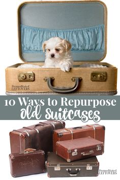 Things To Do With Old Suitcases, Old Suitcases Repurposed Diy Ideas, Old Suitcases Repurposed, Vintage Suitcases Repurpose, Painted Boxes Ideas, Repurpose Suitcase, Old Suitcase Ideas Repurposed