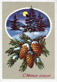 an old fashioned christmas card with pine cones and snow on the branches, in front of a full moon