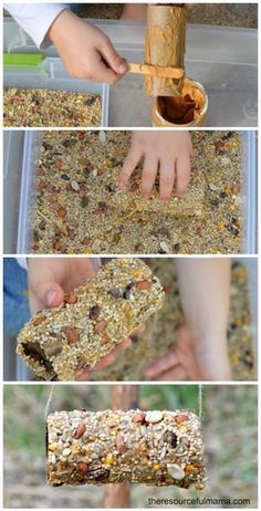 the process for making bird seed feeders is shown in four different pictures, including one being