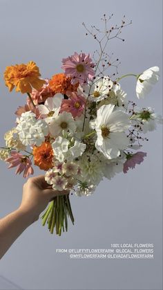 a person holding a bouquet of flowers in their hand with the sky in the background