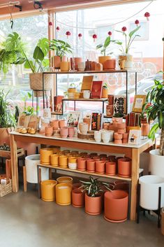 Ceramic Pots, Candles, House Plants, Planters, Notebooks, Gifts, Monstera, Boho Boutique Interior in Portland, Oregon. Plant Store Aesthetic, Plant Shop Aesthetic, Gift Shop Displays, Garden Party Favors, Garden Center Displays, Apothecary Decor, Aesthetic Plant, Boho Store