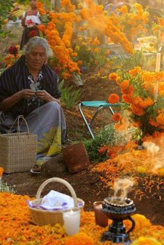 an old woman sitting on the ground surrounded by orange and yellow flowers, looking at her cell phone