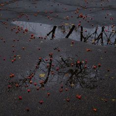 Lily Evans Aesthetic, Evans Aesthetic, Autumn November, Halloween Breakfast, Rain Aesthetic, November Rain, Lily Evans