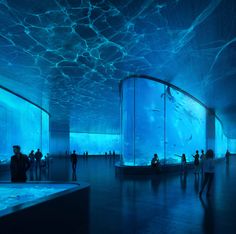 people are standing in an aquarium looking at the blue water and corals on the walls