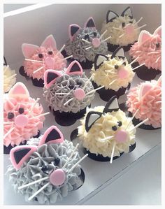 cupcakes decorated with cat ears and bow ties