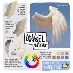 an angel wing is shown with different colors and shapes for each wing, as well as instructions on how to use it