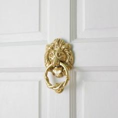 a door handle with a lion's head on it