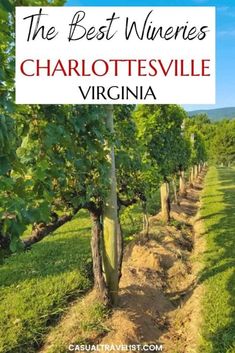 the best wineries in charlottesville, virginia with text overlaying it and an image