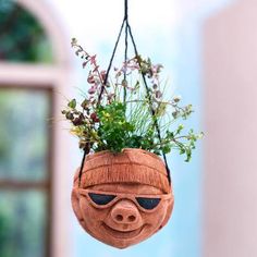 a potted plant hanging from a wooden hanger with plants in the shape of a face