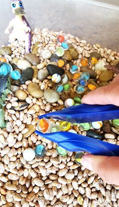 a person is holding some blue scissors in front of rocks and pebbles with a small bird on top