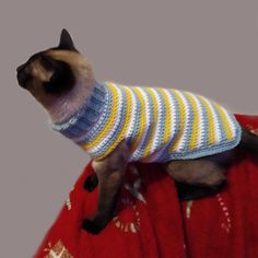 a siamese cat wearing a sweater on top of a red blanket