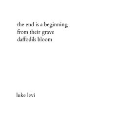 the end is a beginning from their grave daffodils bloom by luke levi