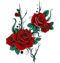 two red roses with green leaves on white background