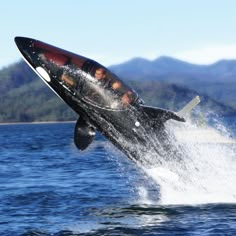 an orca jumping out of the water with its mouth open and people inside it