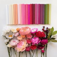 there are many different colors of flowers on the wall