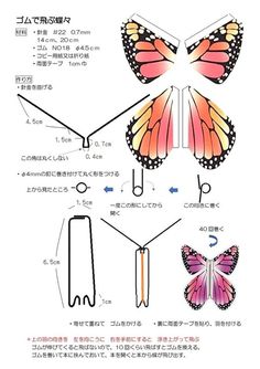 the instructions for how to draw a butterfly with colored wings and tail, in japanese