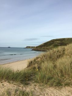 an empty beach with grass on the sand