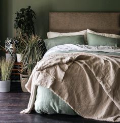 an unmade bed with green linens and plants in the corner, on a wooden floor