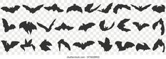 a set of black and white silhouettes of bats on transparent background for halloween decoration