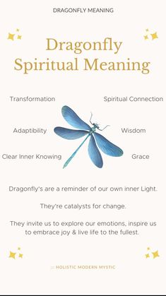 a dragonfly poem with the words'dragonfly spirit meaning'in gold and white