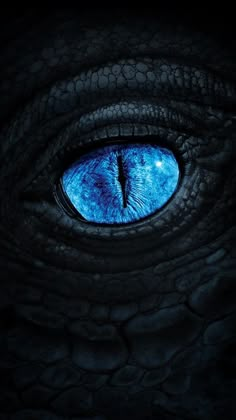 the eye of a blue dragon is shown in this close up photo, with only one eye visible