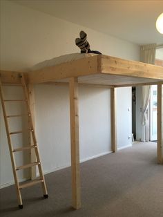 a person sitting on top of a wooden bunk bed in a room with ladders