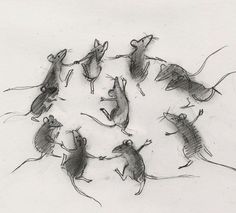 a drawing of five mice in a circle on a white surface with one mouse looking at the camera