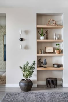 a living room filled with lots of shelves next to a potted plant on top of a rug