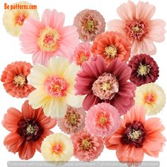 a bunch of pink and yellow flowers on a white background