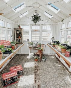 a room filled with lots of potted plants inside of a white walled area next to windows