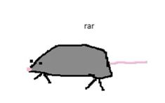 an image of a bug with the word rat on it