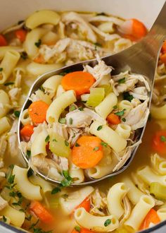 a ladle full of chicken noodle soup with carrots and celery