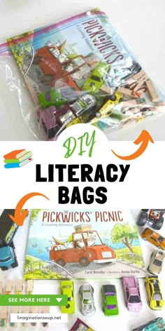 there are many different books on the table with text overlay that reads diy library bags pickwicks picnic