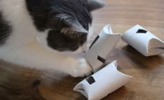 a black and white cat is playing with some toilet paper rolls on the floor in front of it