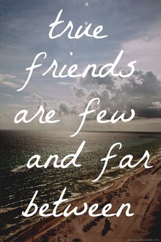 a quote on the beach saying true friends are few and far between