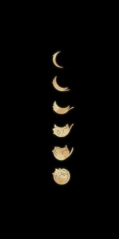 the moon and crescent phases are shown in this dark photo, with one half lit up