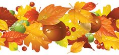 autumn leaves and acorns on a white background