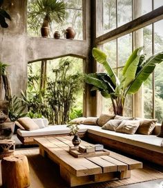 a living room filled with lots of plants and furniture