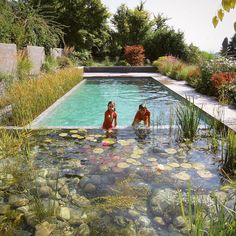 two people are sitting in the water next to a pool with lily pads on it