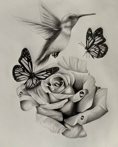 a black and white drawing of a hummingbird flying over a rose with two butterflies