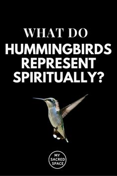 a hummingbird flying in the air with text that reads, what do hummingbirds represent?