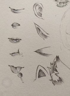 a drawing of different shapes and sizes of eyes