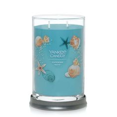 yankee candle with seashells and starfish on the bottom, sitting in front of a white background